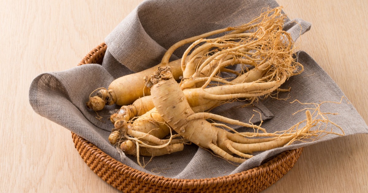 Żeń-szeń pomaga na wiele dolegliwości. Lekarz objaśnia wszystkie jego zalety