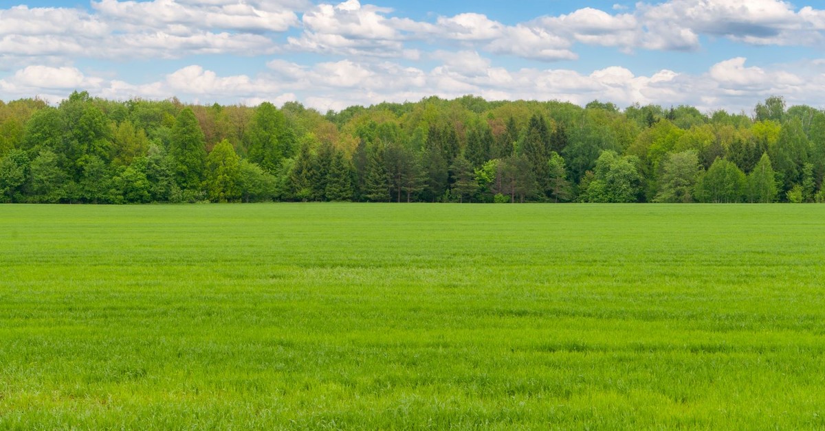 Zmiany w ustawie o ziemi rolnej. Dodatkowe hektary poza zakazem sprzedaży