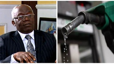 A photo combination of Femi Falana and a fuel pump nozzle. [ChannelsTV]