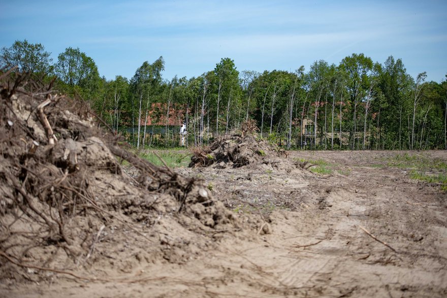 Teren pod kopalnię w Porszewicach