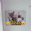 Snimak apartmana na Jadranu