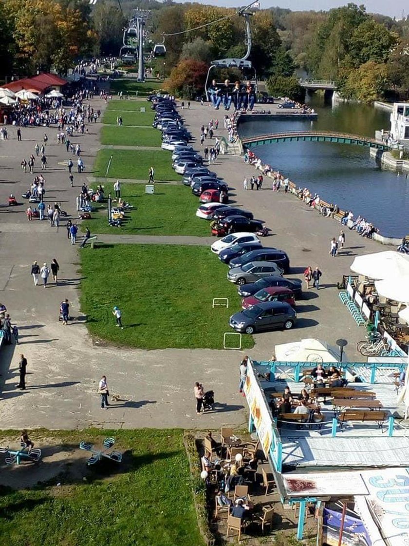 Katowice. Park Śląski stratowany przez parkujące samochody