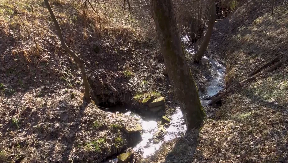 Maja Berović, emisija "Metar moga sela"