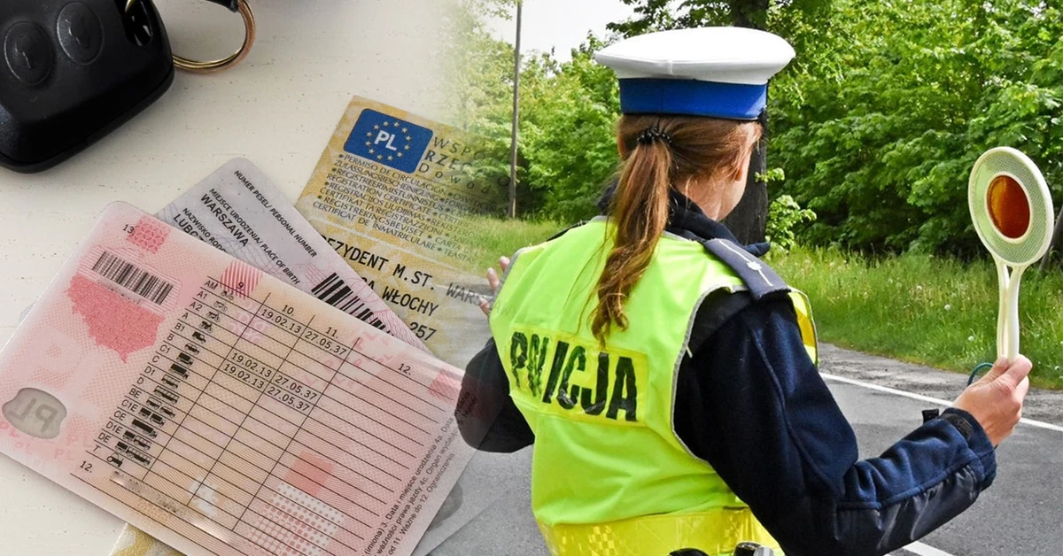 Obowiązkowa wymiana prawa jazdy. 185 dni, inaczej kara i zakaz prowadzenia