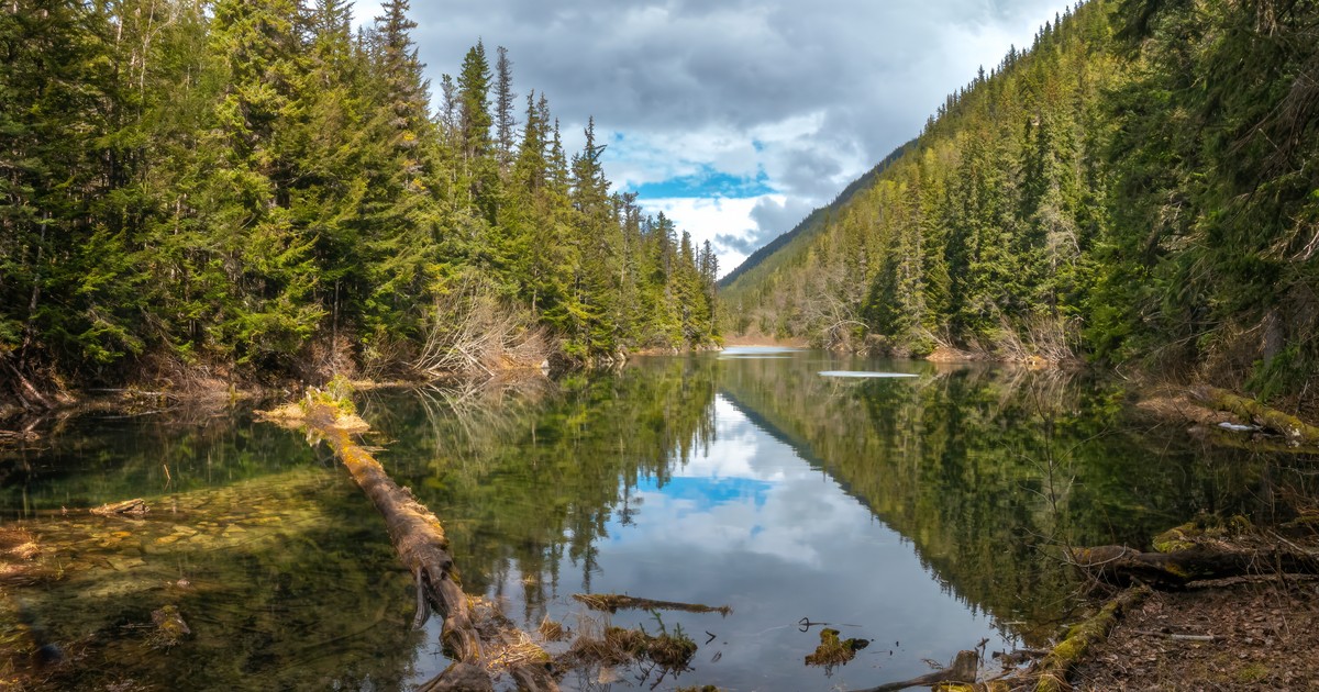 Desapareció en el misterioso Triángulo de Alaska. Su misterio fue resuelto 50 años después