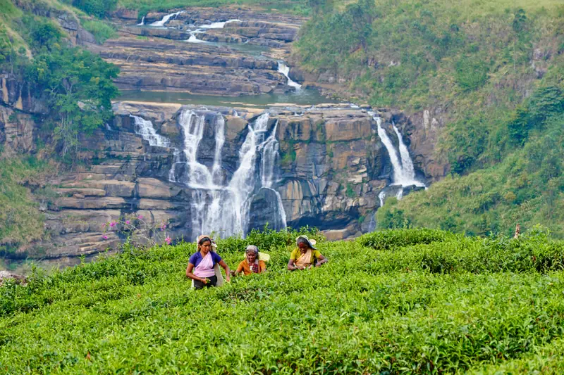  Sri Lanka, Nuwara Eliya