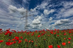 Czy można uzyskać rekompensatę od przedsiębiorstwa energetycznego za słupy znajdujące się na działce?