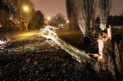 O włos od tragedii. Huragan zepchnął autobus z drogi