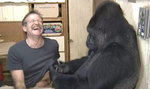 Gorylica Koko płacze po Robinie Williamsie