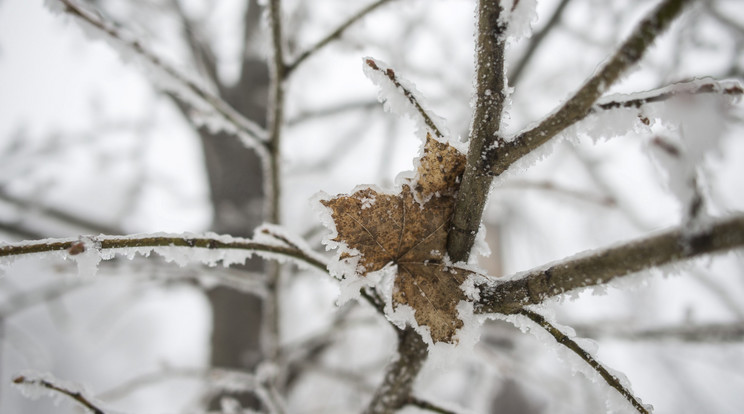 Több helyen havas eső, hó is várható/Fotó: MTI Fotó: Marjai János/