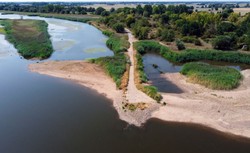 Ichtiolog: Zatrucie dotyczy nie tylko ryb. Odbudowa populacji to kwestia wielu lat