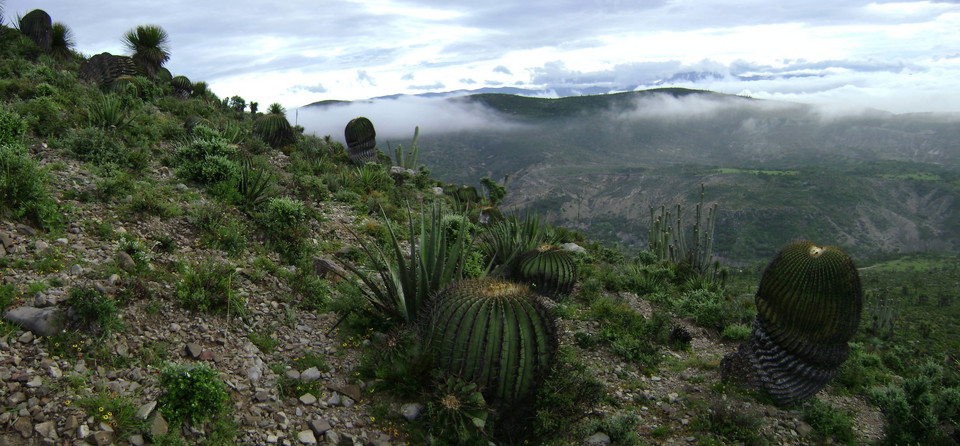 Dolina Tehuacán-Cuicatlán: kolebka Mezoameryki, Meksyk