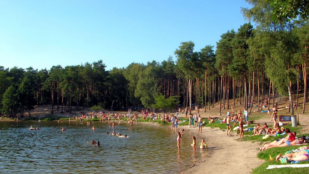 Ponad dwadzieścia samochodów, należących do plażowiczów wypoczywających na podbydgoskim jeziorem Jezuickim, spłonęło w sobotę w ciągu kilkunastu minut. Strażakom udało się uratować pobliski las, na który przerzuciły się płomienie.