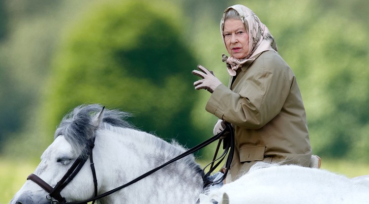 II. Erzsébet királynő rajongott a lovakért Fotó: Getty Images