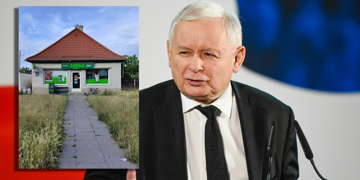 Jarosław Kaczyński mówi o państwowych Żabkach. Rynek komentuje, że temat "sklepów narodowych" przypomina... sprawę Izery.