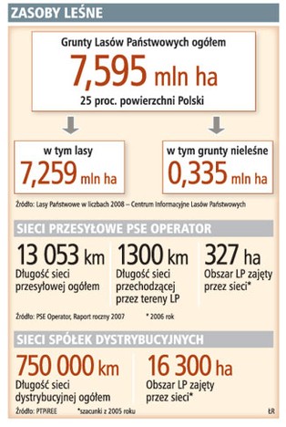 Lasy Państwowe żądają 100 mln zł od energetyki
