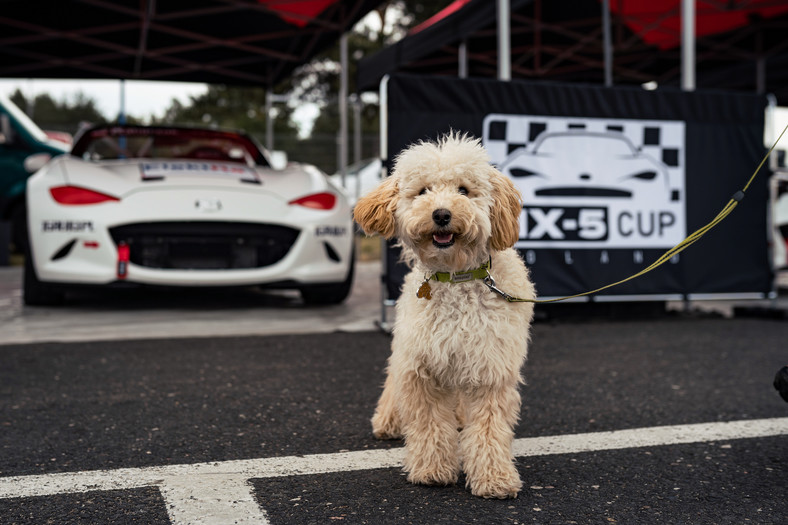 Mazda MX-5 Cup Poland