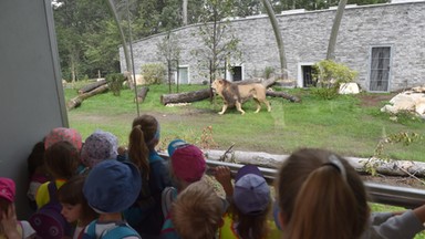 Parking przed krakowskim zoo jednak otwarty