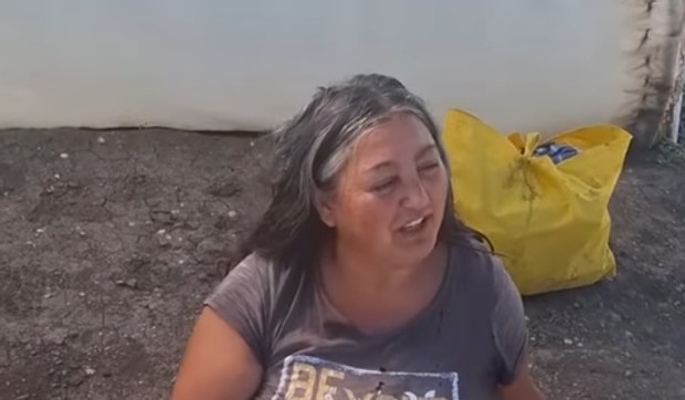 Snežana Pavlović