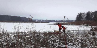 Maleńki terrier szczekaniem zaprowadził ich na miejsce. A tam trwał dramat...