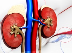 90 proc. przypadków przewlekłej choroby nerek pozostaje nierozpoznanych. OBJAWY