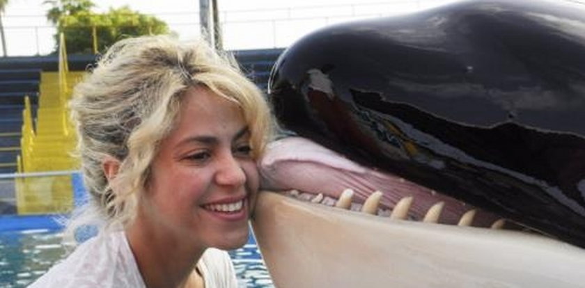 Shakira w oceanarium, dostała buziaka od...