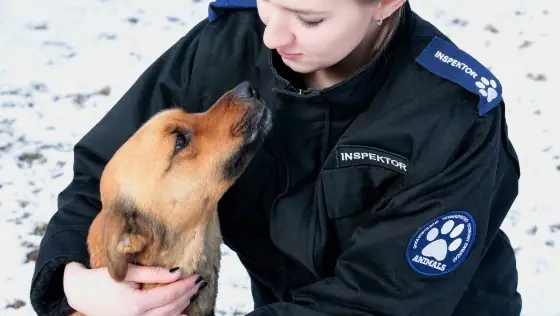 Inspektorka OTOZ Animals w trakcie interwencji