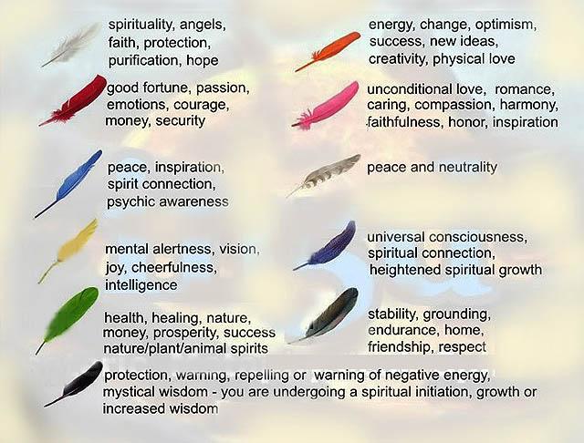 Segítség a szellemvilágból: A különböző színű madártollak, üzenetek  jelentése - Blikk Rúzs