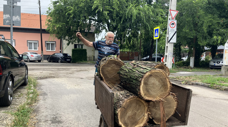 Felvágta a fát ami a kocsira esett es cserebe odaadtak neki / Fotó: Zsolnai Péter