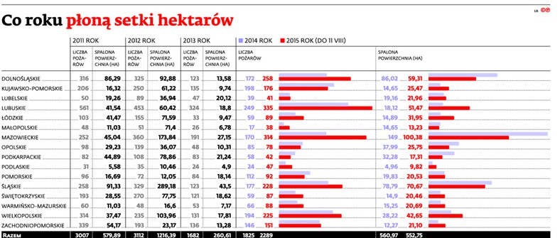 Co roku płoną setki hektarów