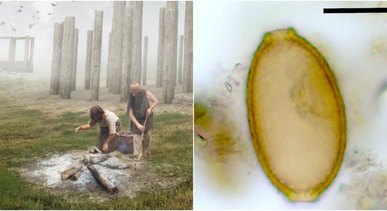 An illustration of prehistoric people cooking in Durrington Walls (left) seen next to a parasite egg (right) found in preserved feces found near the site.