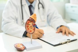 Evo koje namirnice su najbolje, a koje najgore za vaše bubrege: Važno je da na vreme obratite pažnju!