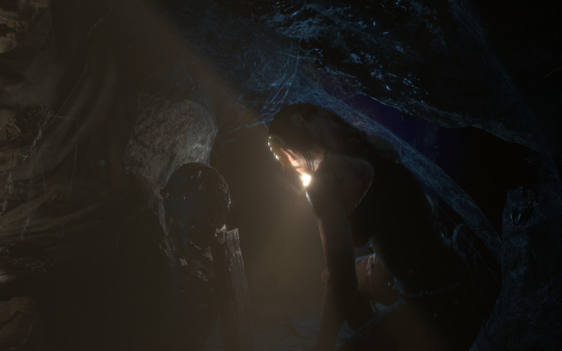 Rise of the Tomb Raider PC