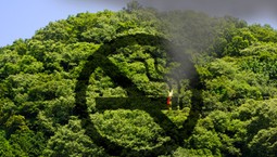 60 tys. zł pójdzie z dymkiem? Polski turysta słono zapłaci za wykroczenie