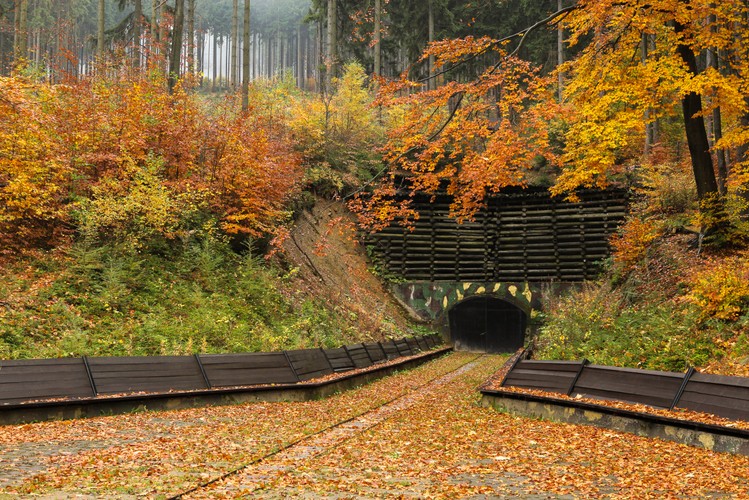 Kompleks Riese w Górach Sowich. Tajny projekt Hitlera