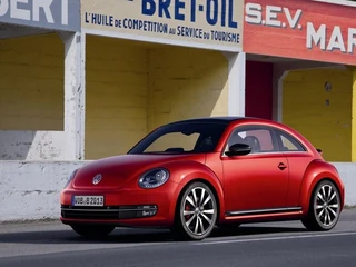 new beetle (5)