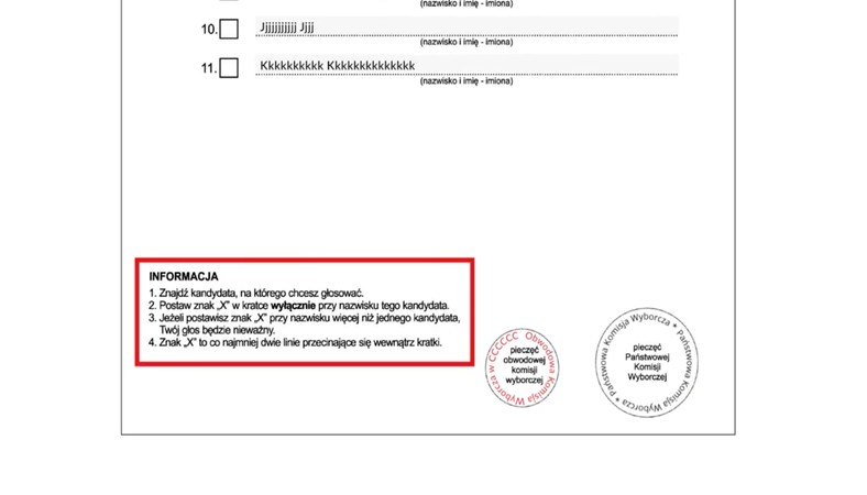 Wybory 2020 – informacje, jak głosować?