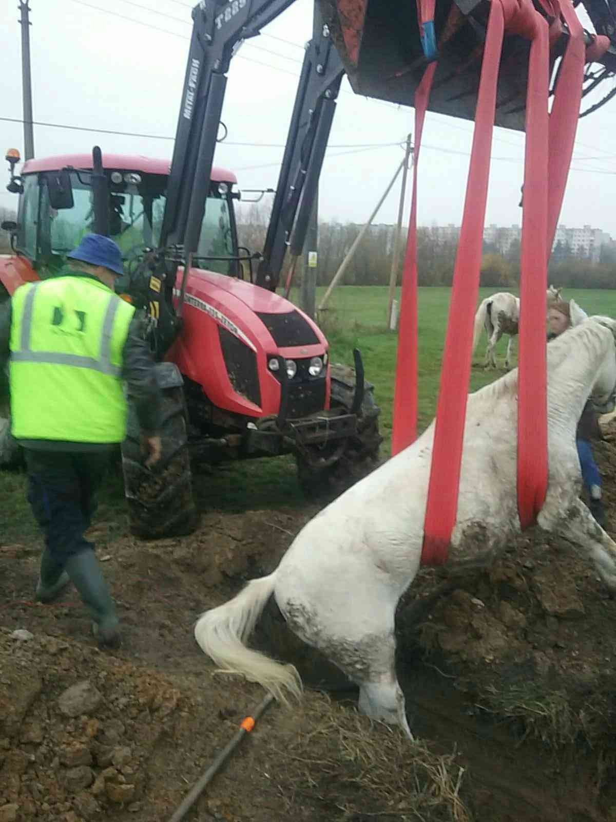 Koňom napokon pomohli hasiči.