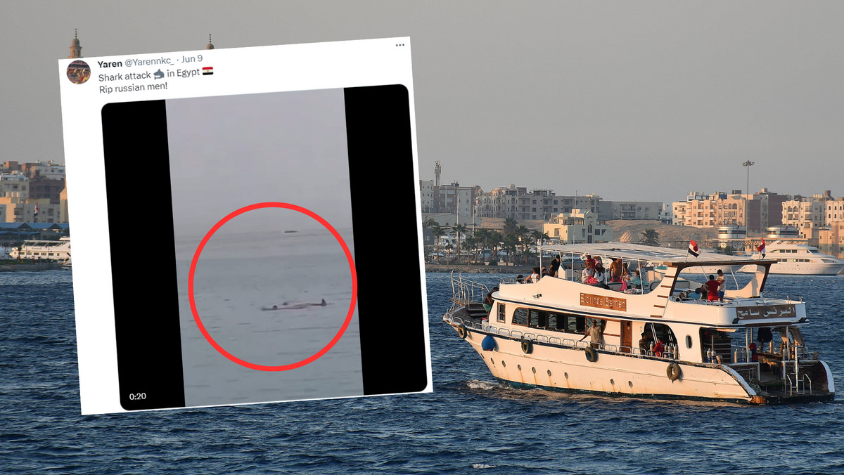 Atak rekina w Egipcie. Drapieżnik pożarł w Hurghadzie 23-latka. Nowe fakty 