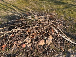 Czy można palić gałęzie na własnej posesji? Przepisy i kary 2025