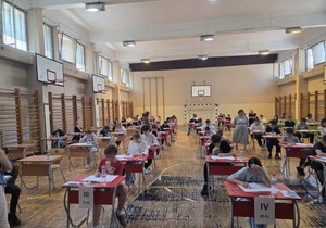 OŠ "Radoje Domanović" u Nišu