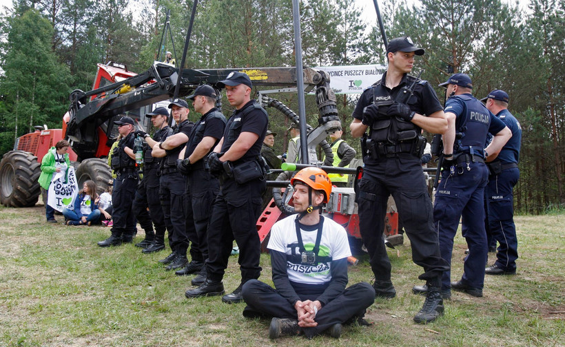 Puszcza Białowieska. Interwencja policji wobec ekologów