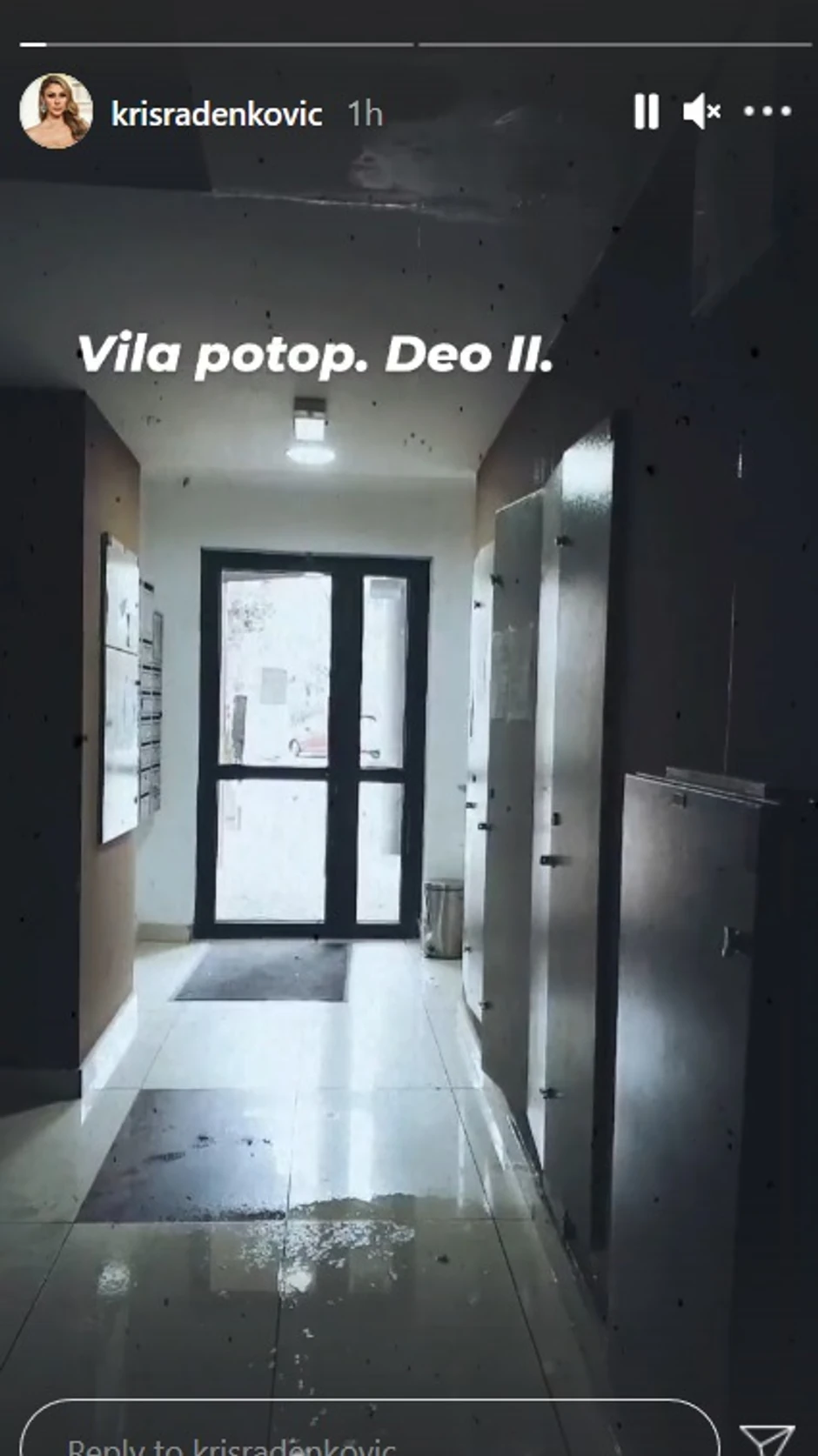 Kristina Radenković - objava 