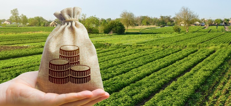 Zaliczki dopłat bezpośrednich 2025. Którzy rolnicy dostaną pieniądze pierwsi?