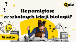 Wyciągamy karteczki! Ile pamiętasz ze szkolnych lekcji biologii? [QUIZ]