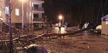 Niszczycielska wichura. Setki tysięcy ludzi nie ma prądu