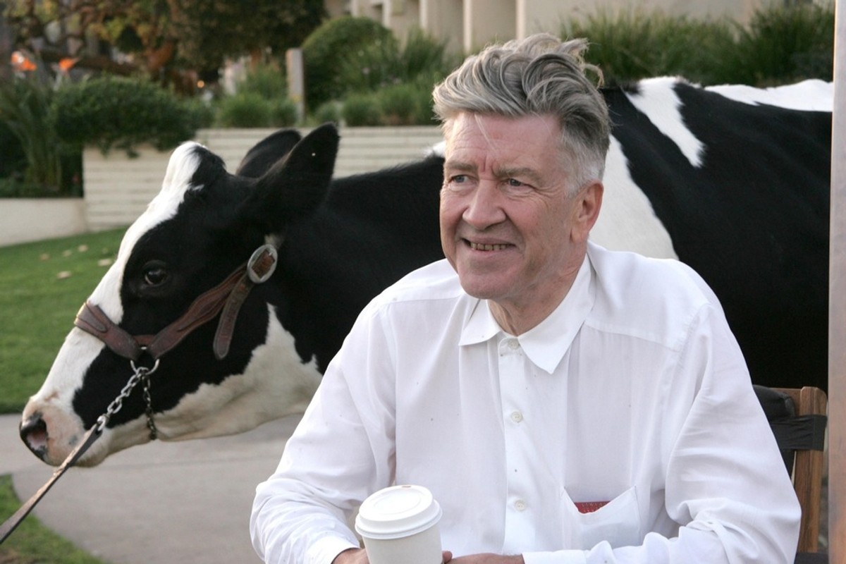 David Lynch, Wes Studi i Lina Wertmueller laureatami Oscarów honorowych