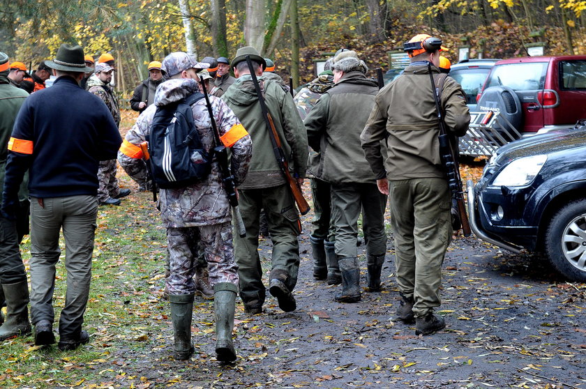 Obrońcy zwierząt nie dopuścili do polowania. Oto, co zrobili