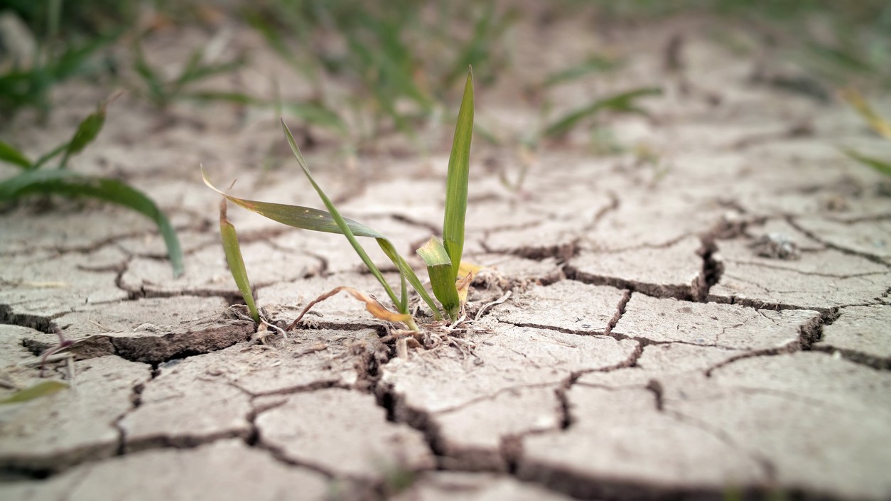 SHMÚ očakáva v najbližších dňoch prehĺbenie pôdneho sucha. (ilustračné foto)