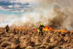 Biebrzański Park Narodowy w ogniu. 'Pożar nie jest pod kontrolą'